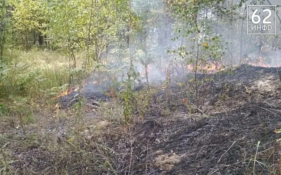 Восемь возгораний в лесах уже потушили...