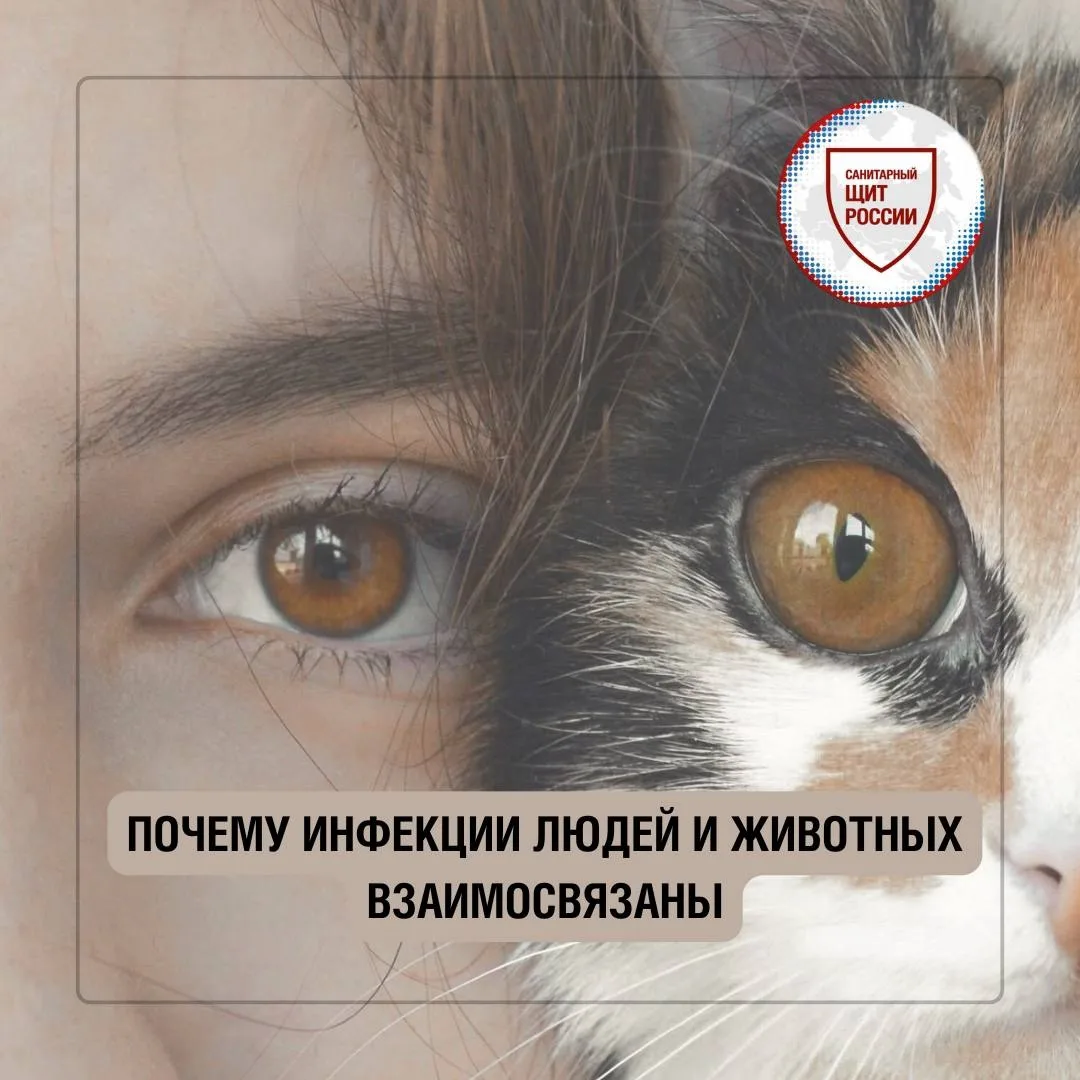 Часть инфекций🦠, которыми болеют люди, имеет животное происхождение.