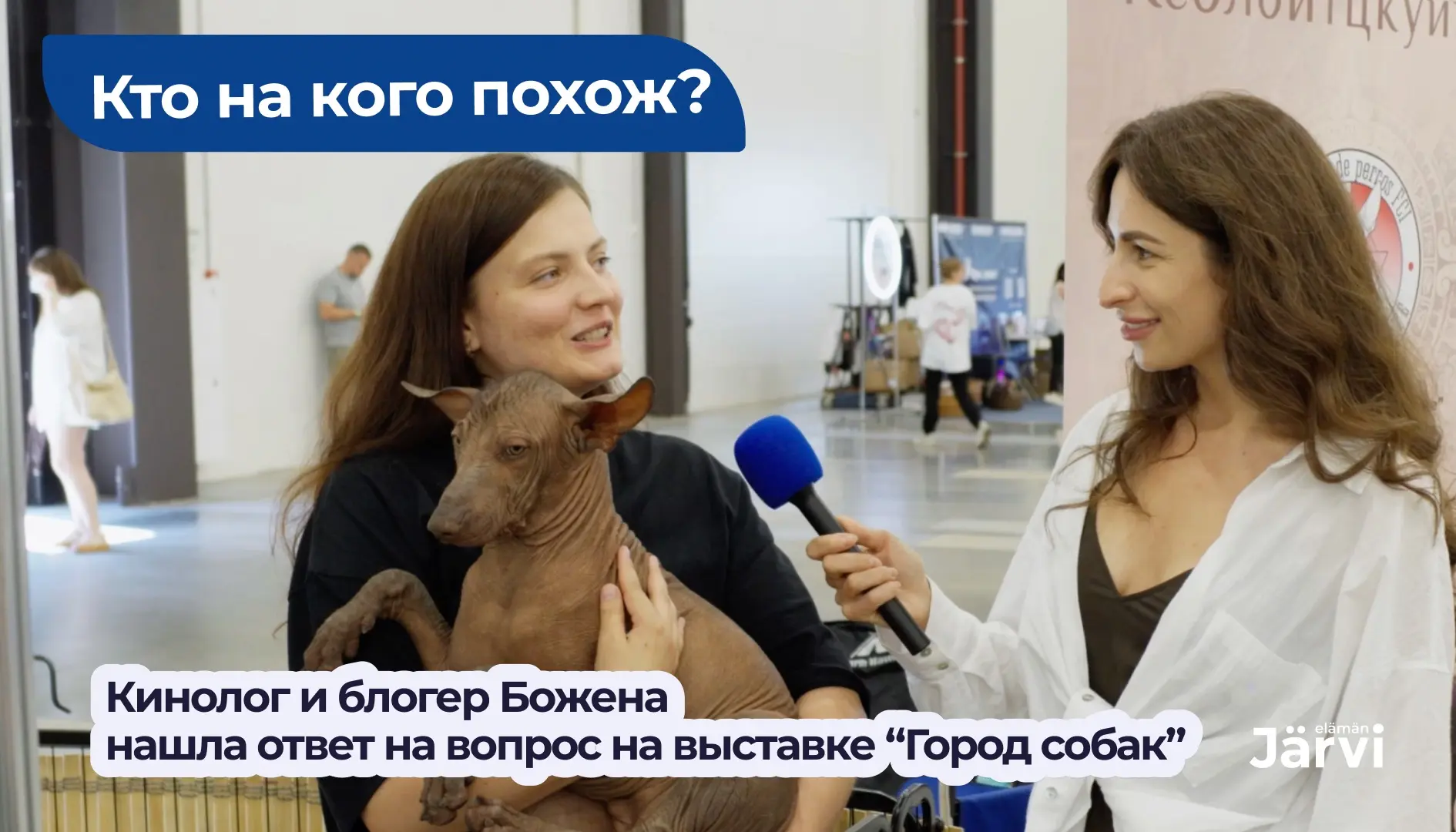 Правда ли, что собаки похожи на своих хозяев?

Новый выпуск уже в ВК🔥

Вместе с Боженой Банниковой 