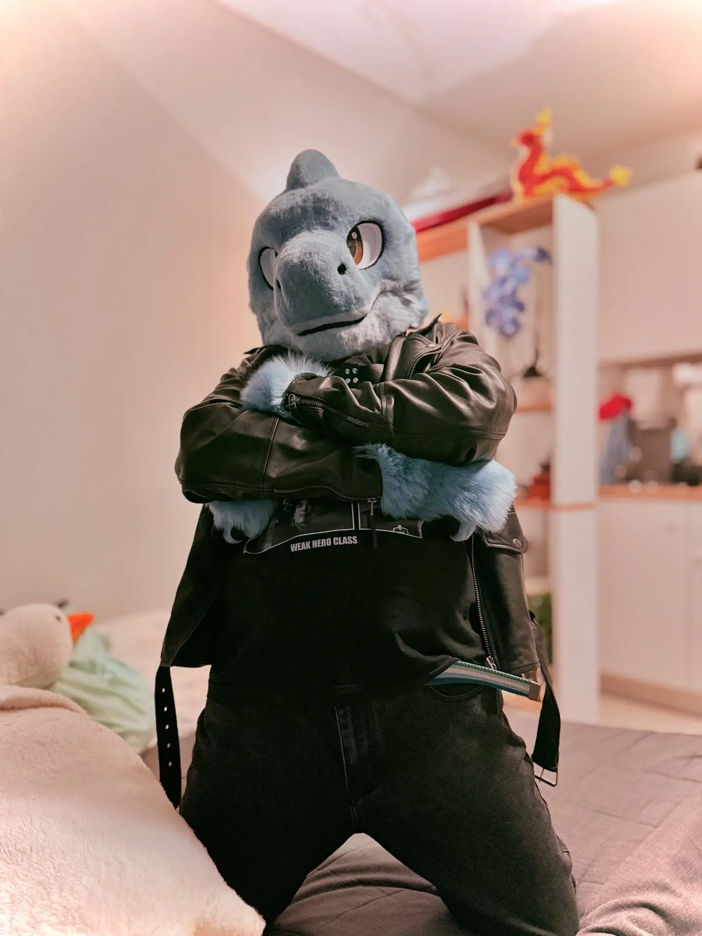 🦊📸🦈