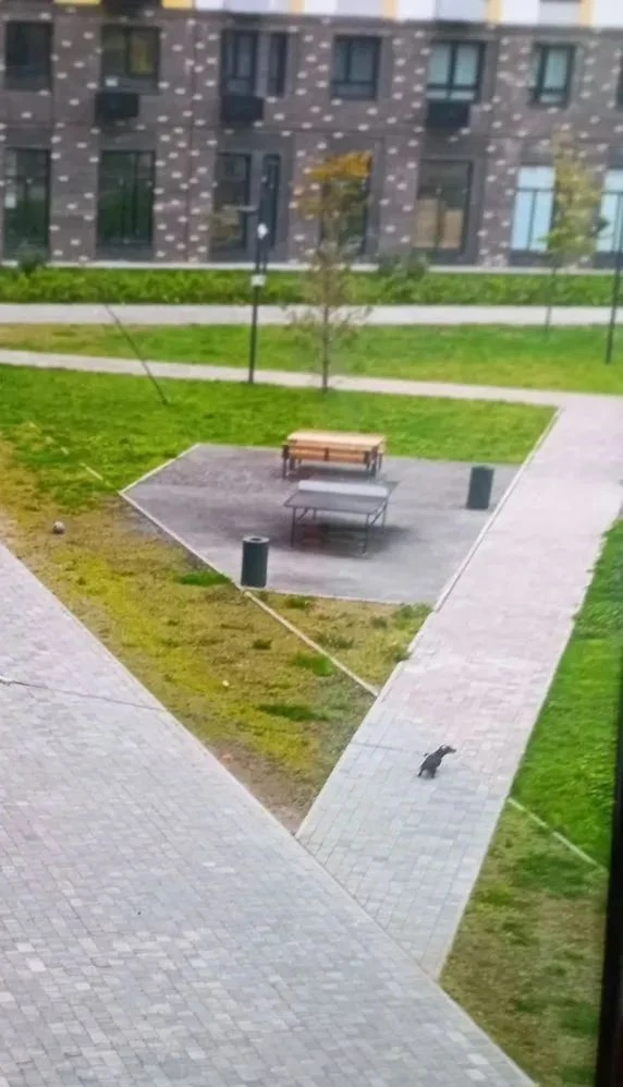 Добрый день .