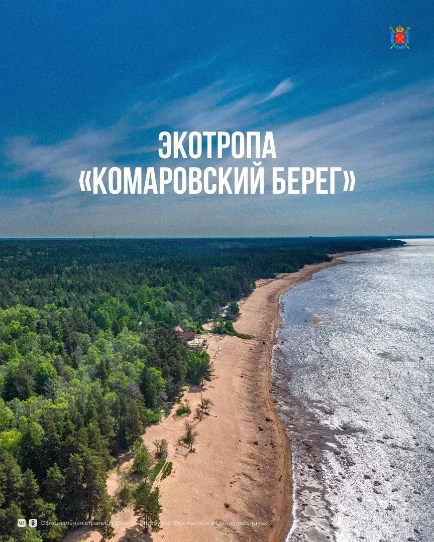 В Петербурге оборудовано 7 экологических троп, которые проходят по особо охраняемым природным террит
