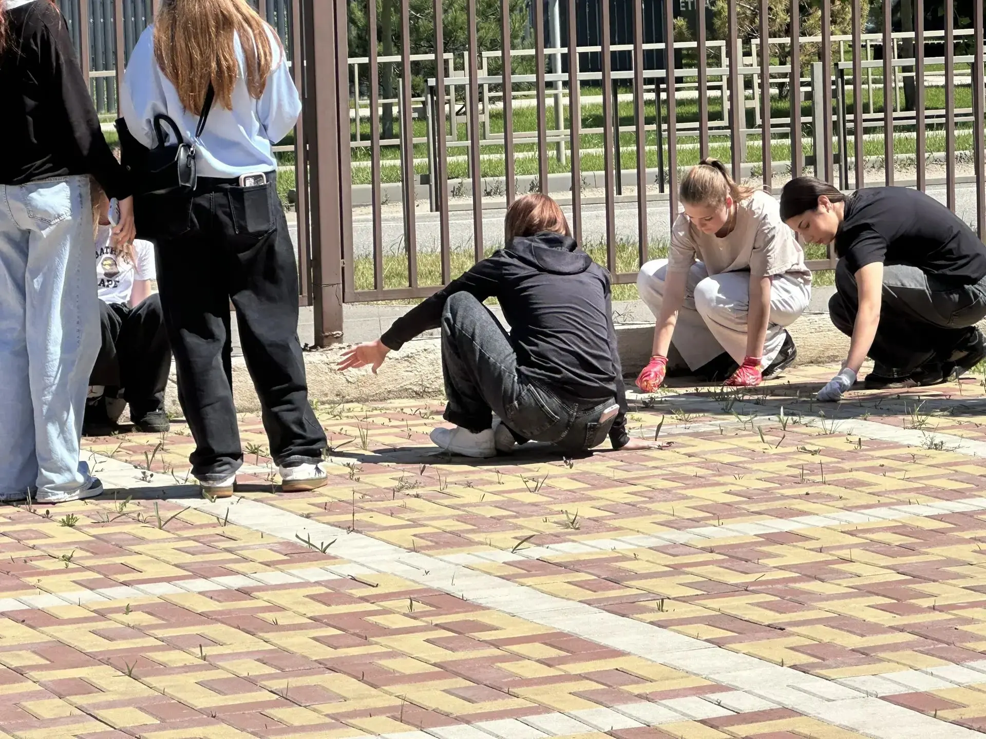 В нашей школе на протяжении месяца проходит "Трудовой десант",ребята из волонтёрского о...