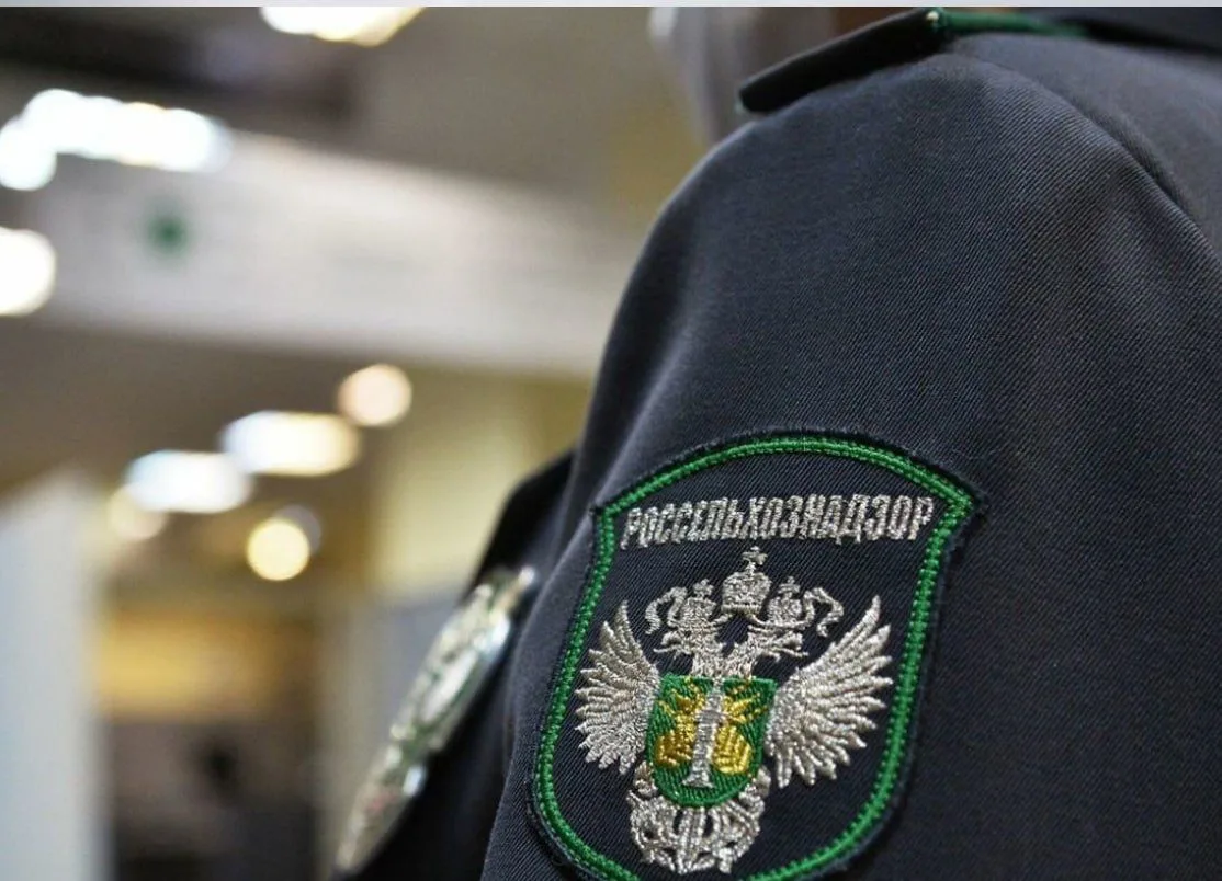🌾 Больше 600 консультаций для аграриев ДНР: Управление Россельхознадзора по ДНР и ЛНР ...