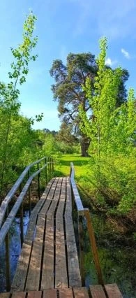 Заречный парк 🌳  ---------------- 👉 Поиск каналов в MAX  🚀 Купить рекламу в канале!