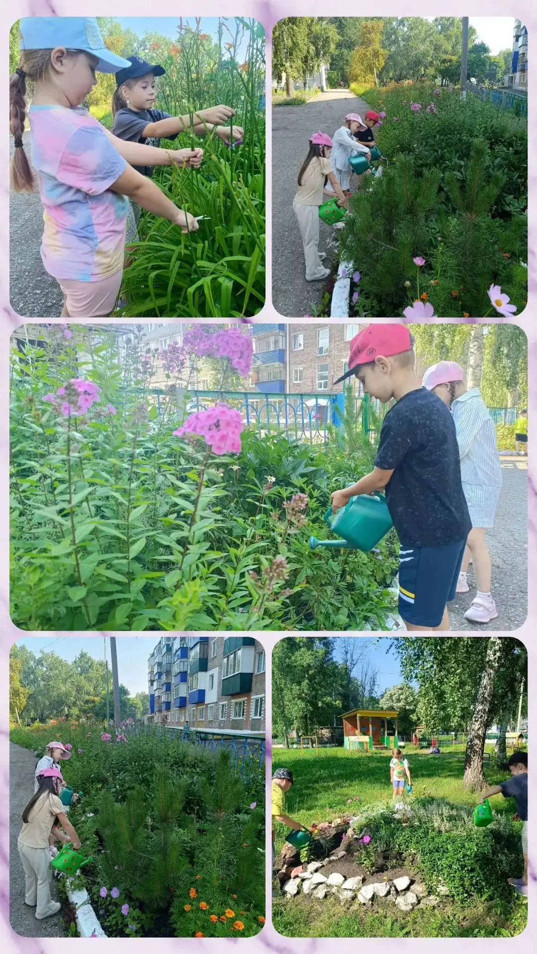 🌺 Лето — пора ярких красок и чудесных ароматов! 
🏡 На территории нашего детского сада цветут пышны
