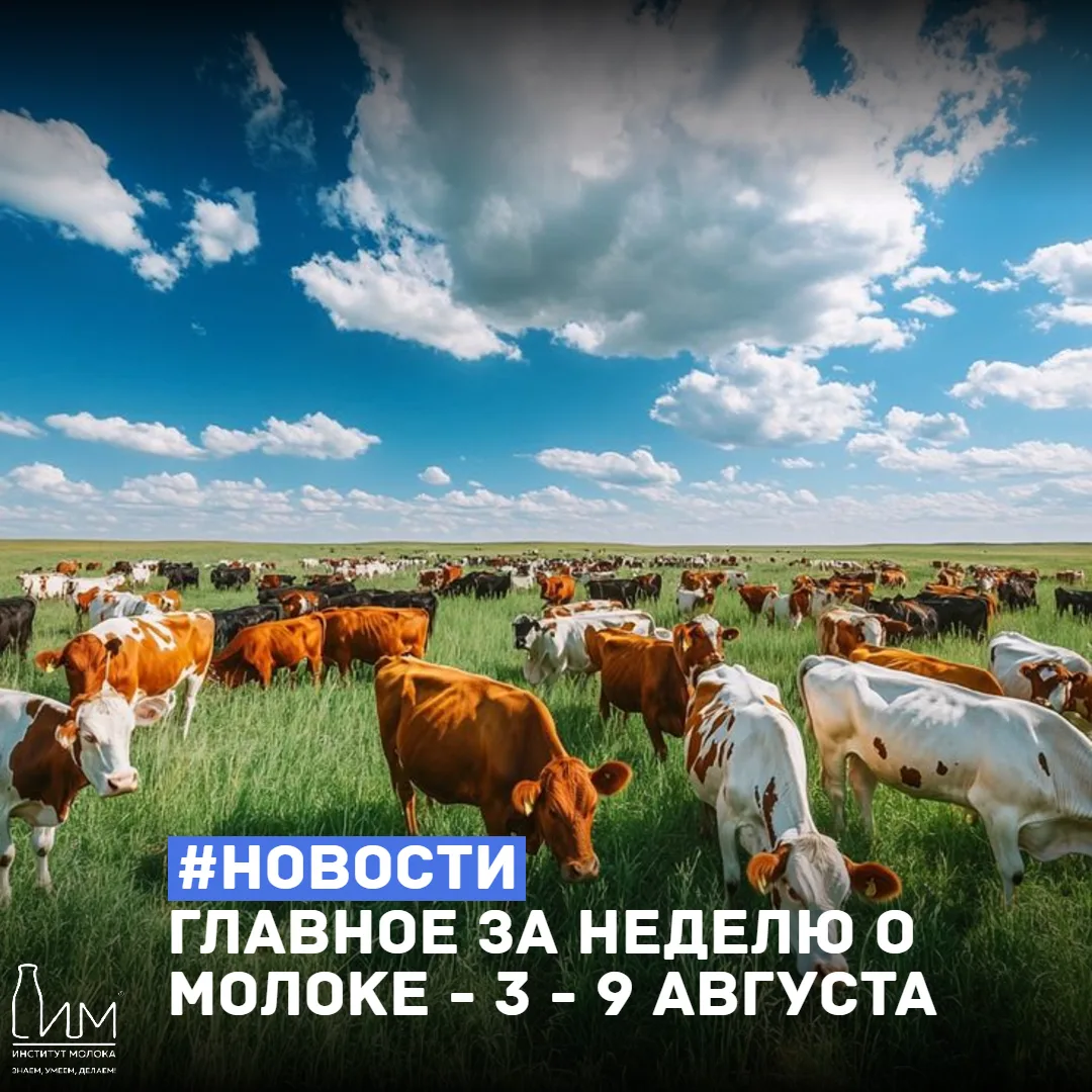 ⚡️ Главное за неделю о молоке: 3–9 августа 2026