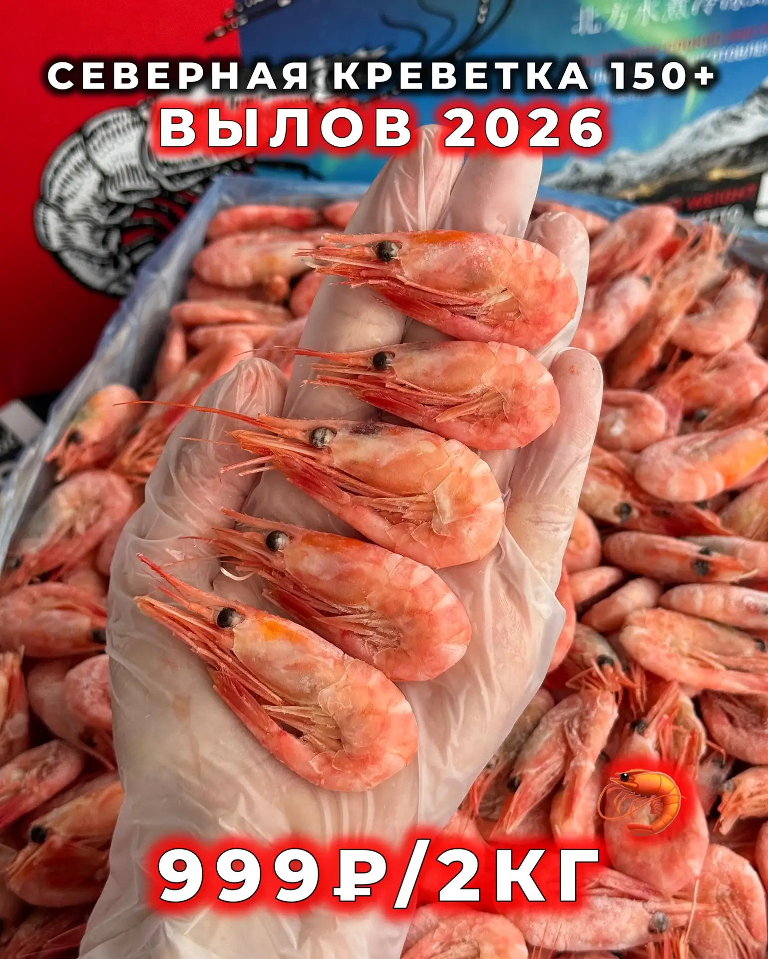 ТОЛЬКО В КРАБИКЕ 🦀 Свежайшая креветка 150+ 2026 года вылова по САМОЙ НИЗКОЙ цене в гор...