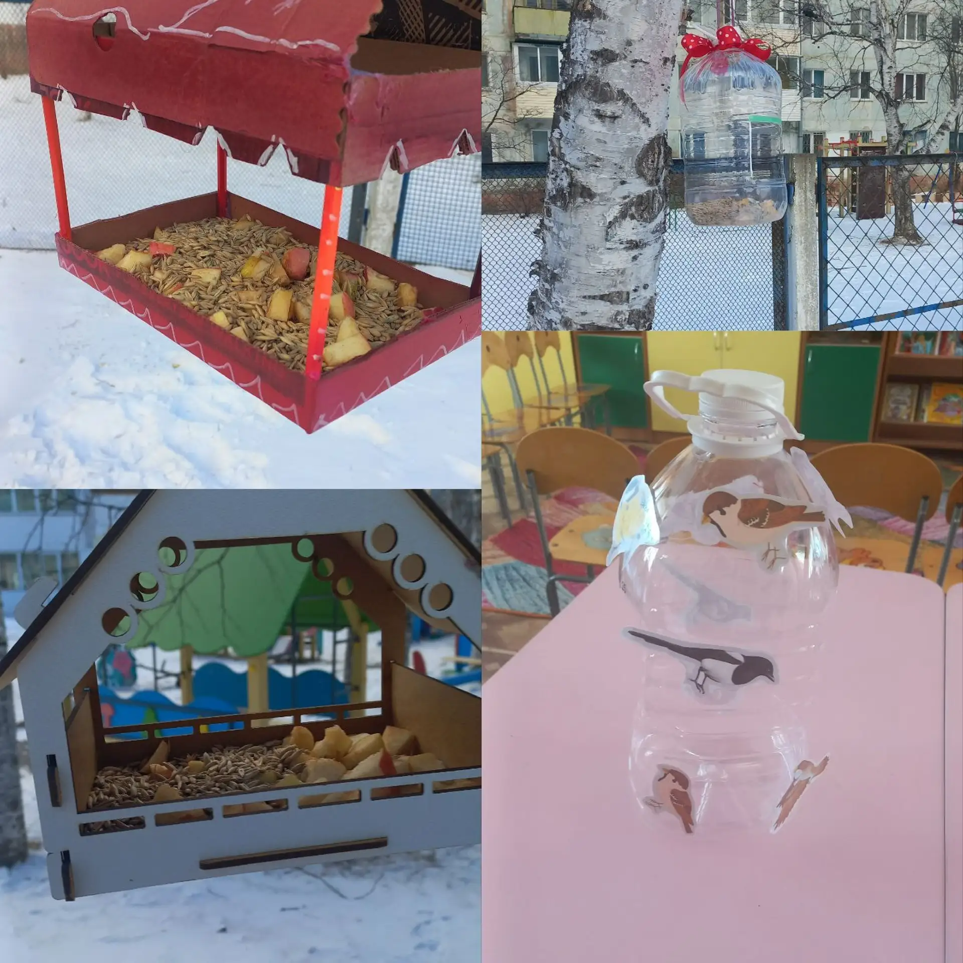 🦜❄️ Привет, друзья! Некоторые наши пернатые друзья остались зимовать с нами! Ребята по...