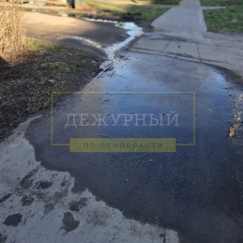 Доброе утро.Хожу вторую неделю мимо этого текущего ручейка,думала может живущие в этом доме обратят 