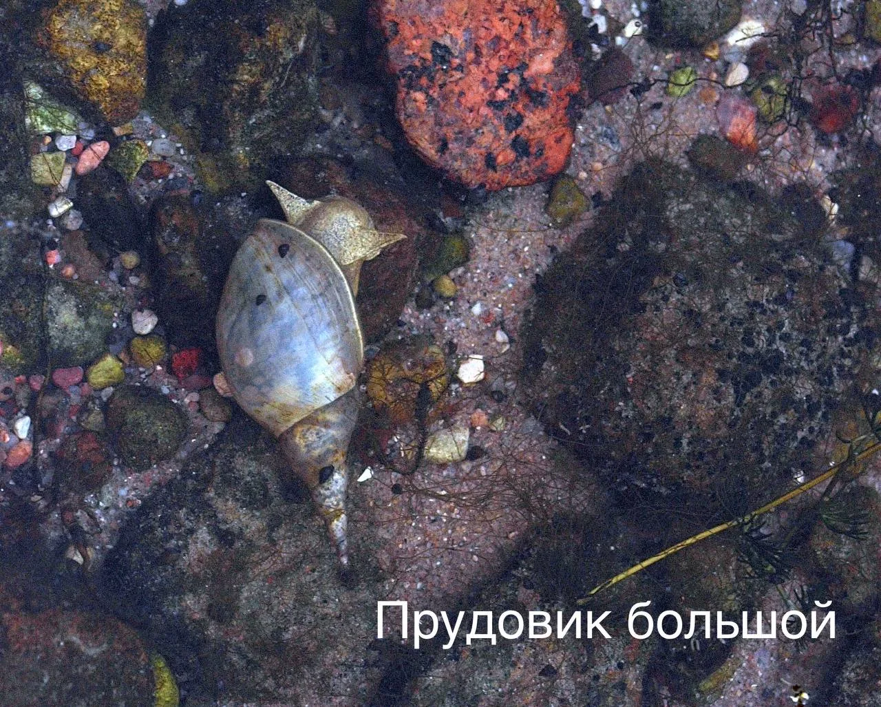 Последний день лета на Виштынецкой возвышенности порадовал погодой. Было солнечно, тепл...