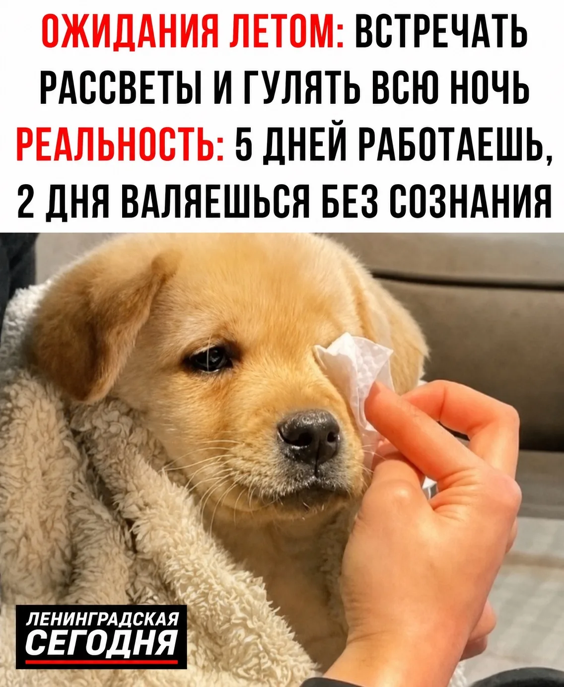 ☀️ Лето в Ленинградской: ожидание и реальность

👍 - в точку

📍Подписаться | Объявления | Предложит