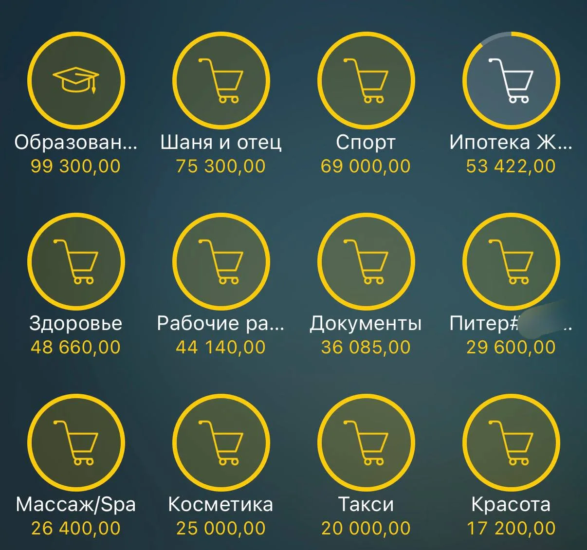 Фин отчет за июль. 

Этот месяц у меня самый затратный из всего года, ибо в нем 2 дня рождения близк