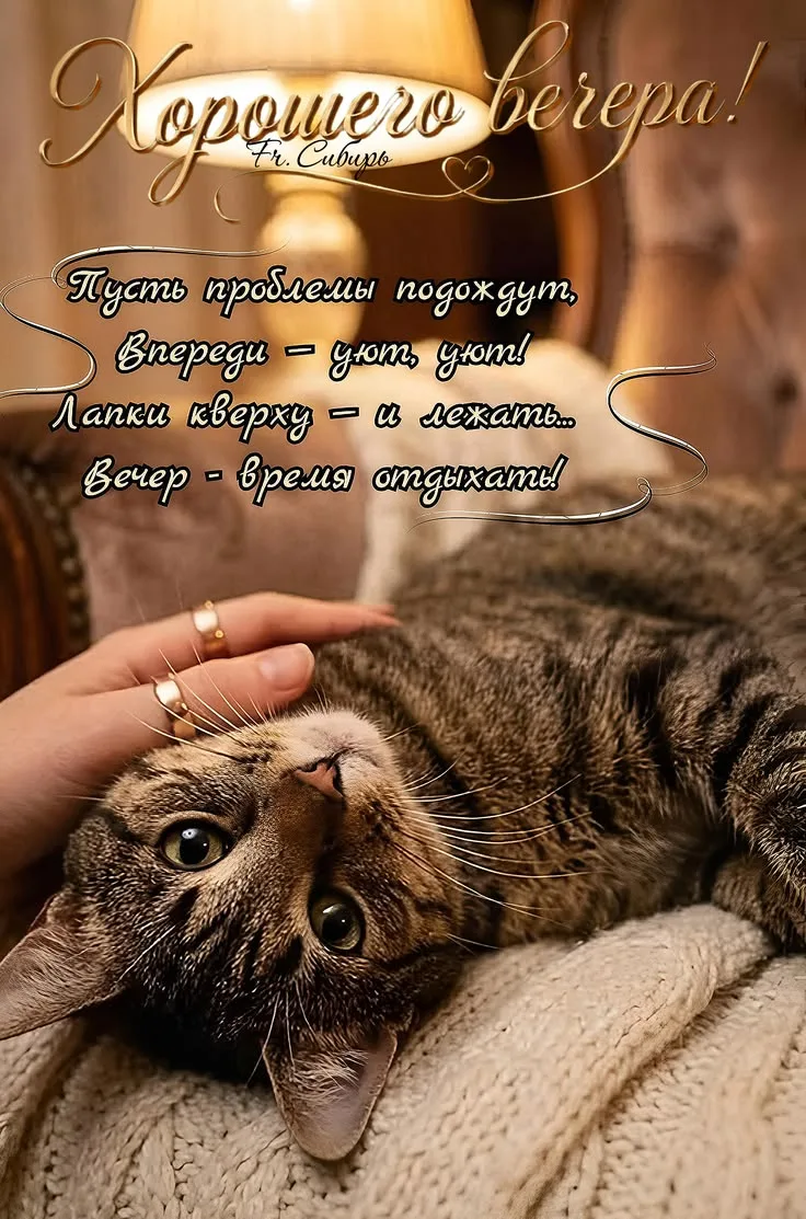 https://max.ru/invista123456