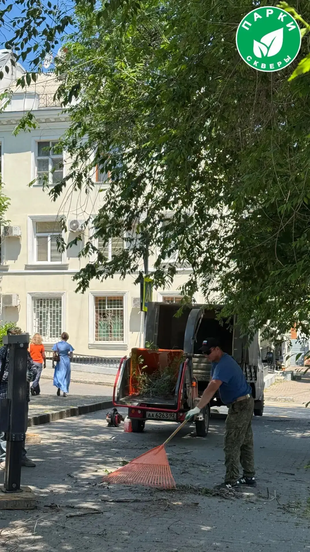 🪚🪵В Екатерининском сквере проводится санитарная обрезка деревьев.