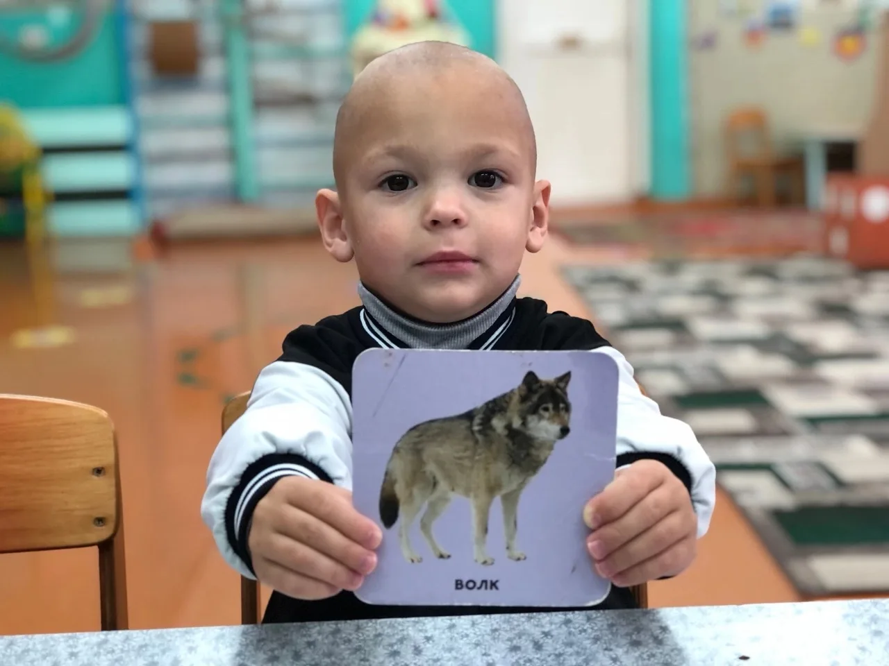 🐺🦊🐻🐰«Волк, лиса, медведь, заяц - обитатели леса»