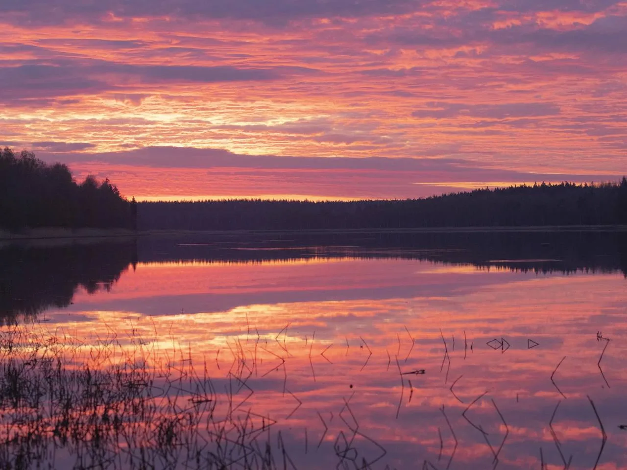 🌅💗 Невероятной красоты розовый закат в Нижне-Свирском заповеднике