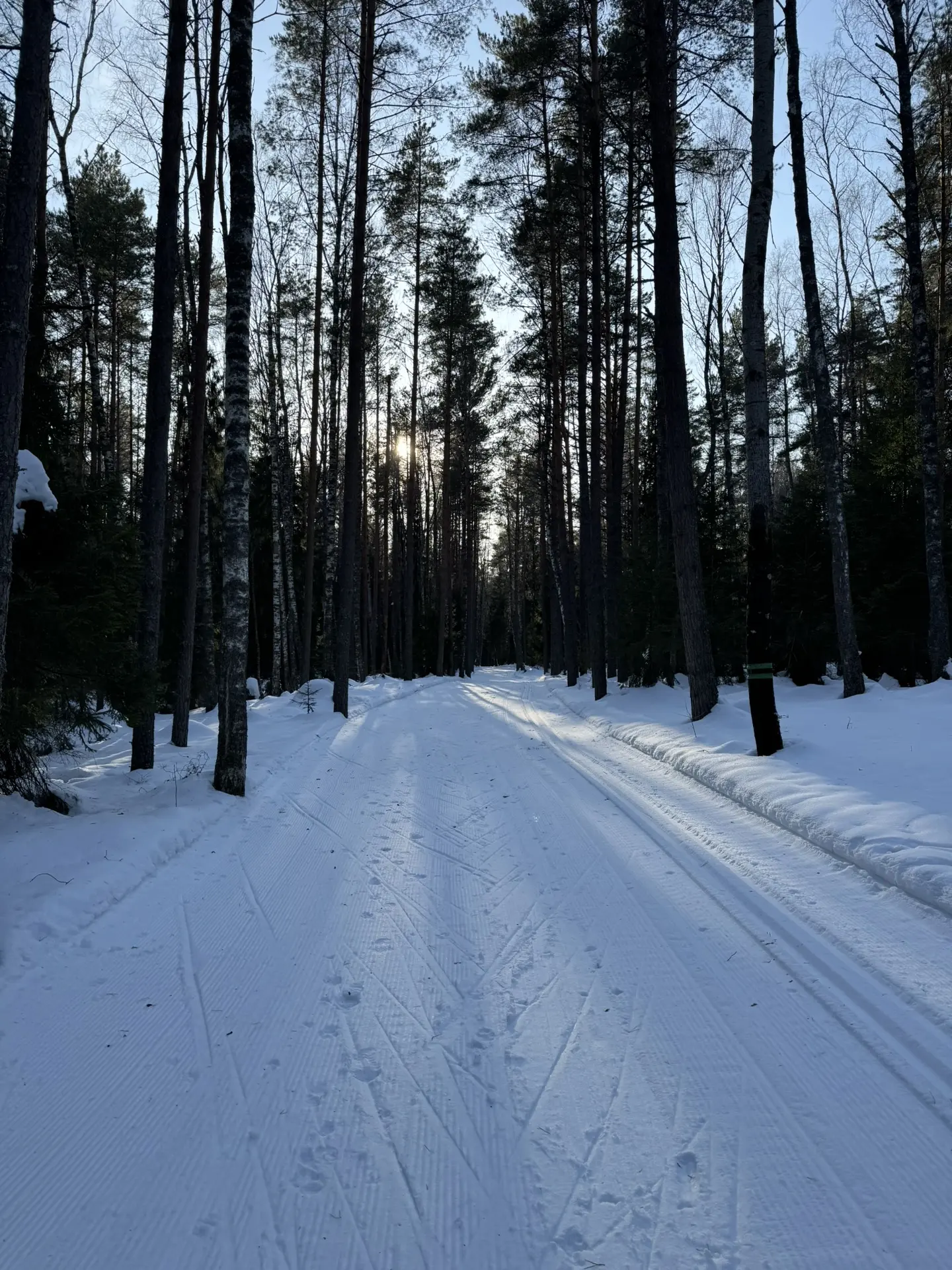 Лыжня в Доброграде еще в деле!