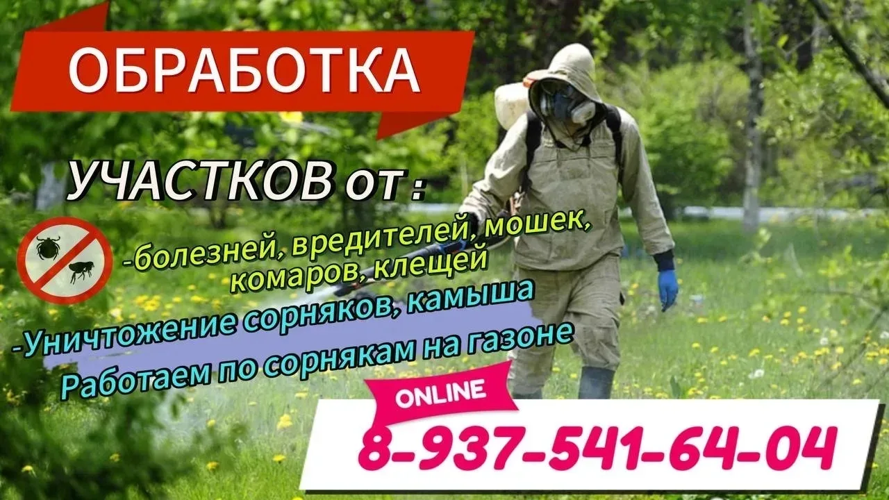 Забудьте о дачных заботах! Мы позаботимся о вашей территории.