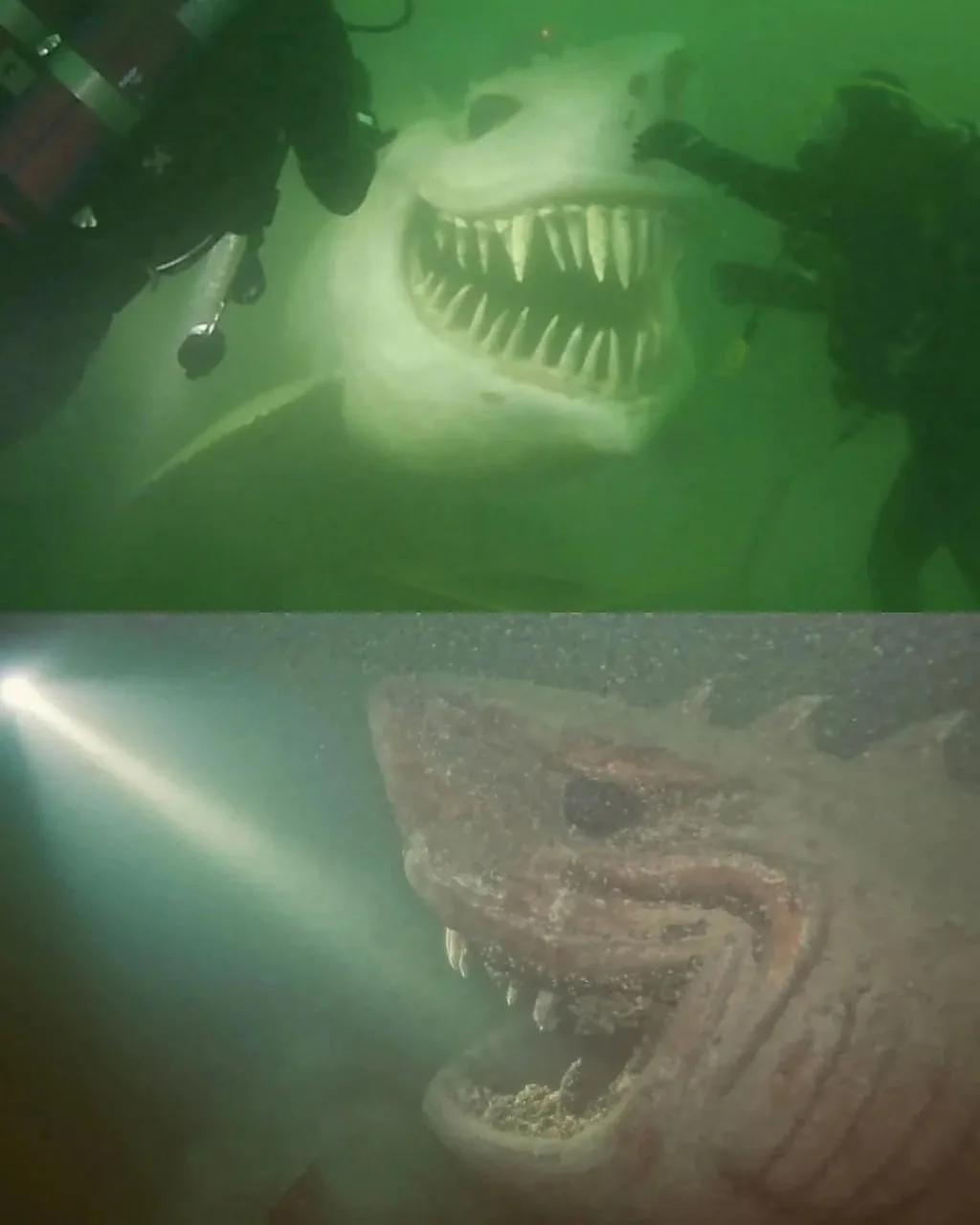 🦈 ГИГАНТСКУЮ БЕЛУЮ АКУЛУ обнаружили на побережье озера — дайверы в Швейцарии, изучая д...