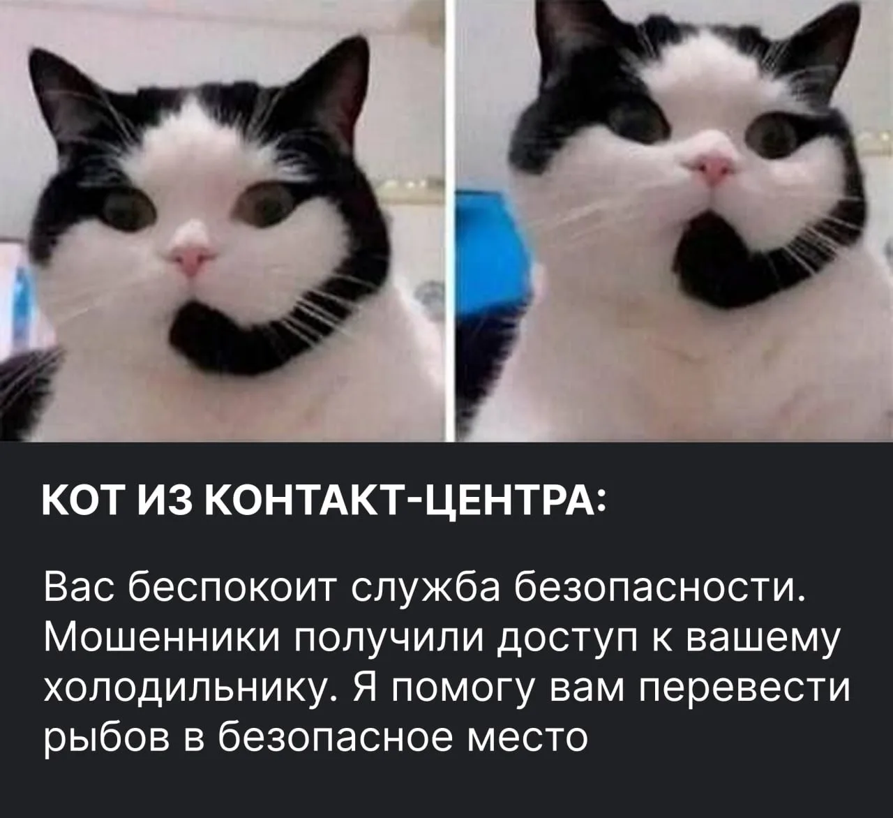 Вам позвонил этот мошенник.