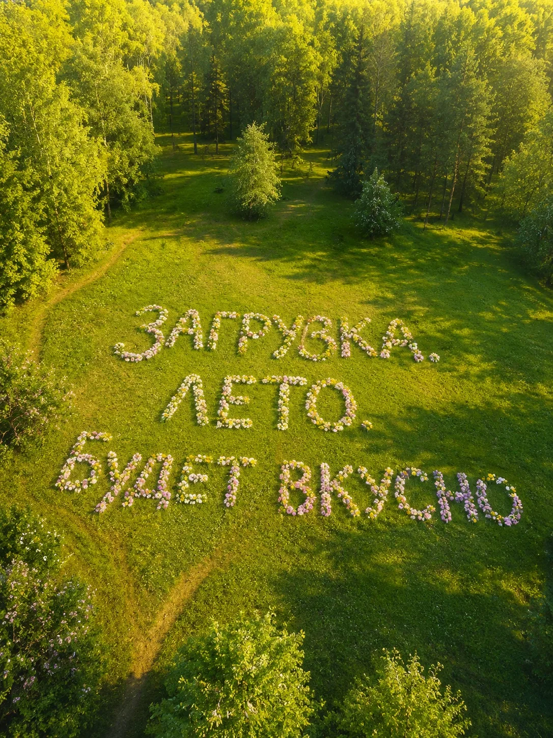Через 5 дней — лето ☀️
Трава уже тянется к солнцу, воздух пахнет теплом, а настроение — чем-то лёгки