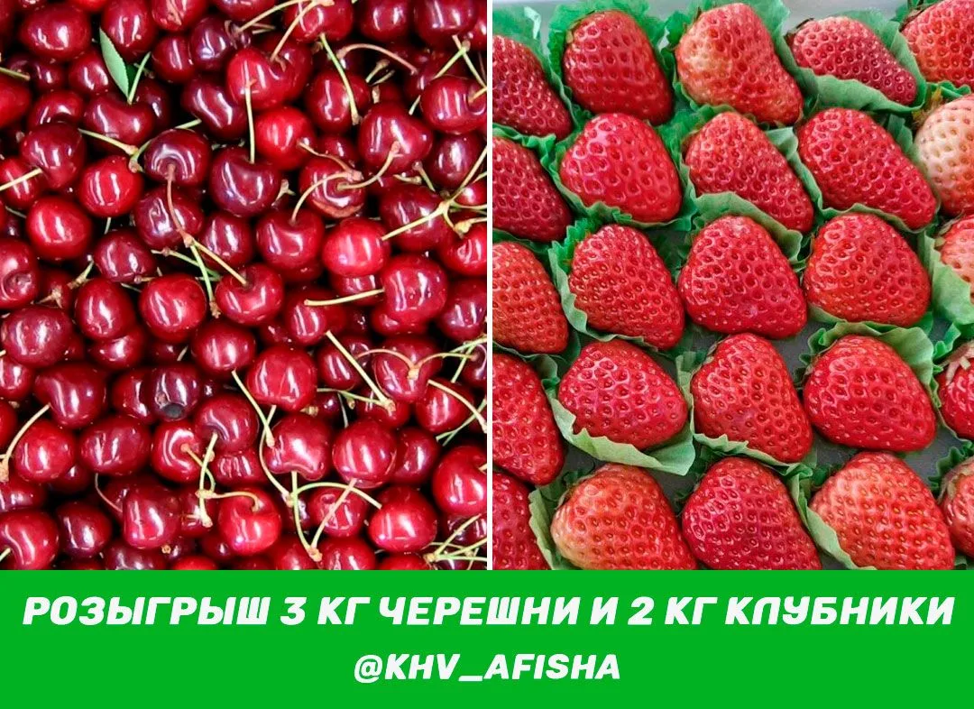 Наши текущие розыгрыши:
✅ 3 кг черешни и 2 кг клубники
✅ литр вкусного меда