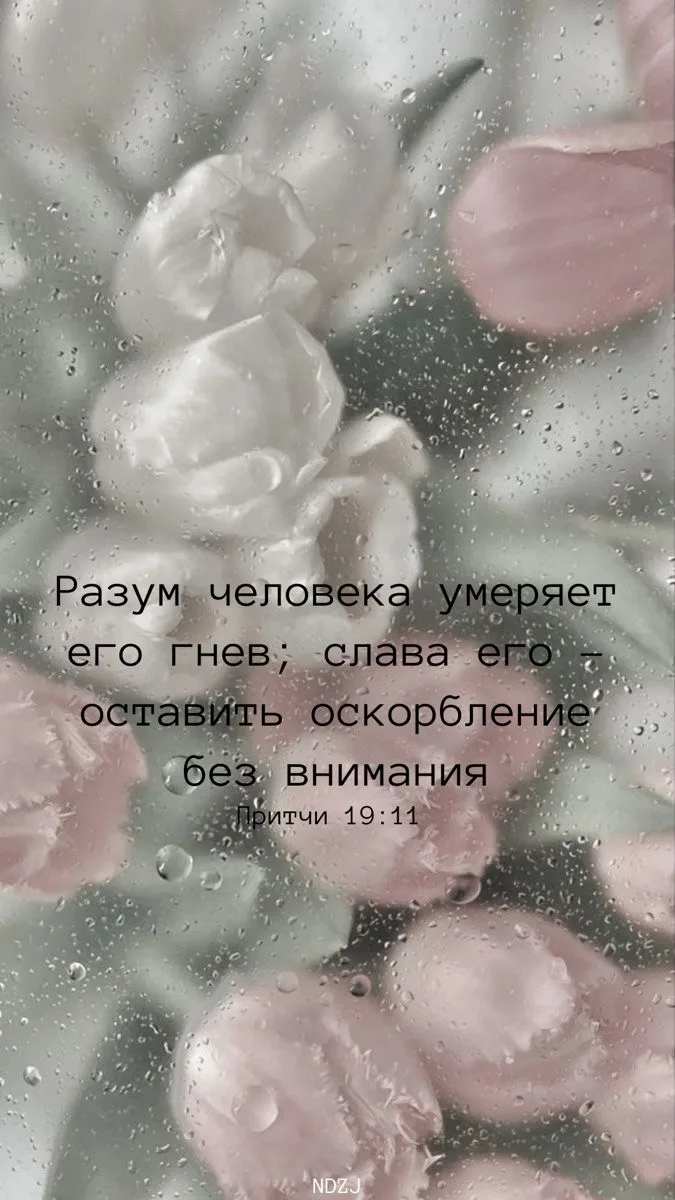 👉 Наши каналы. Подписаться.