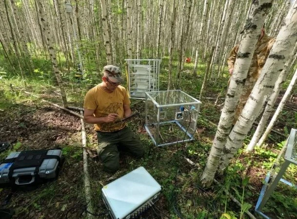 🧖 🌱 Учёные Башкирии создали цифровые трехмерные модели