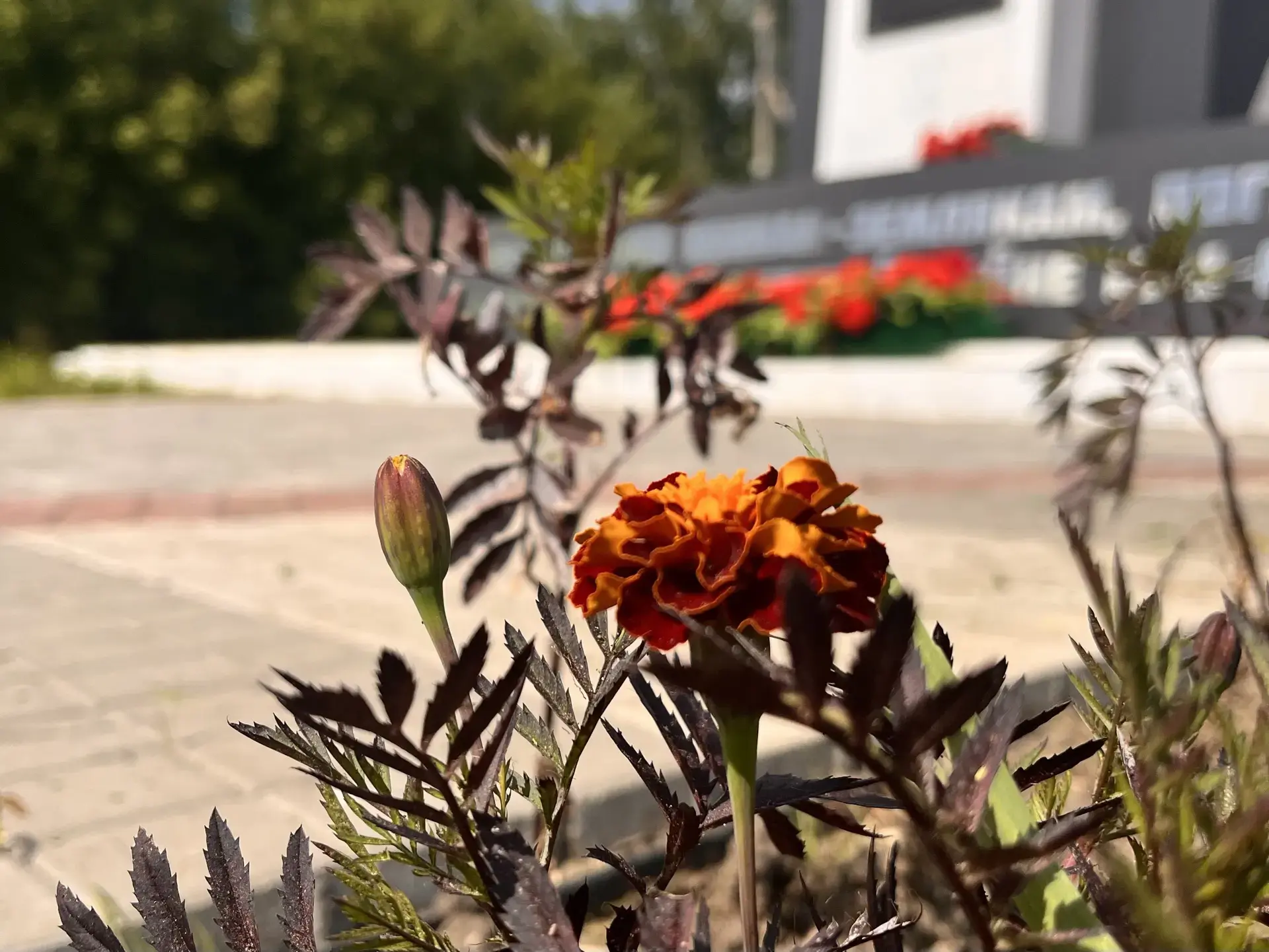🌞 Доброе утро, дорогие марковчане.  

🇷🇺 Сегодня 22 июня – день, который наполнен особым смыслом.