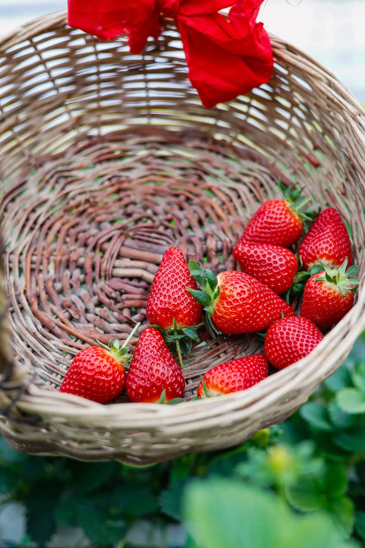 🍓 Есть напитки, которые меняют настроение с первого аромата. Стоит только вдохнуть — и...