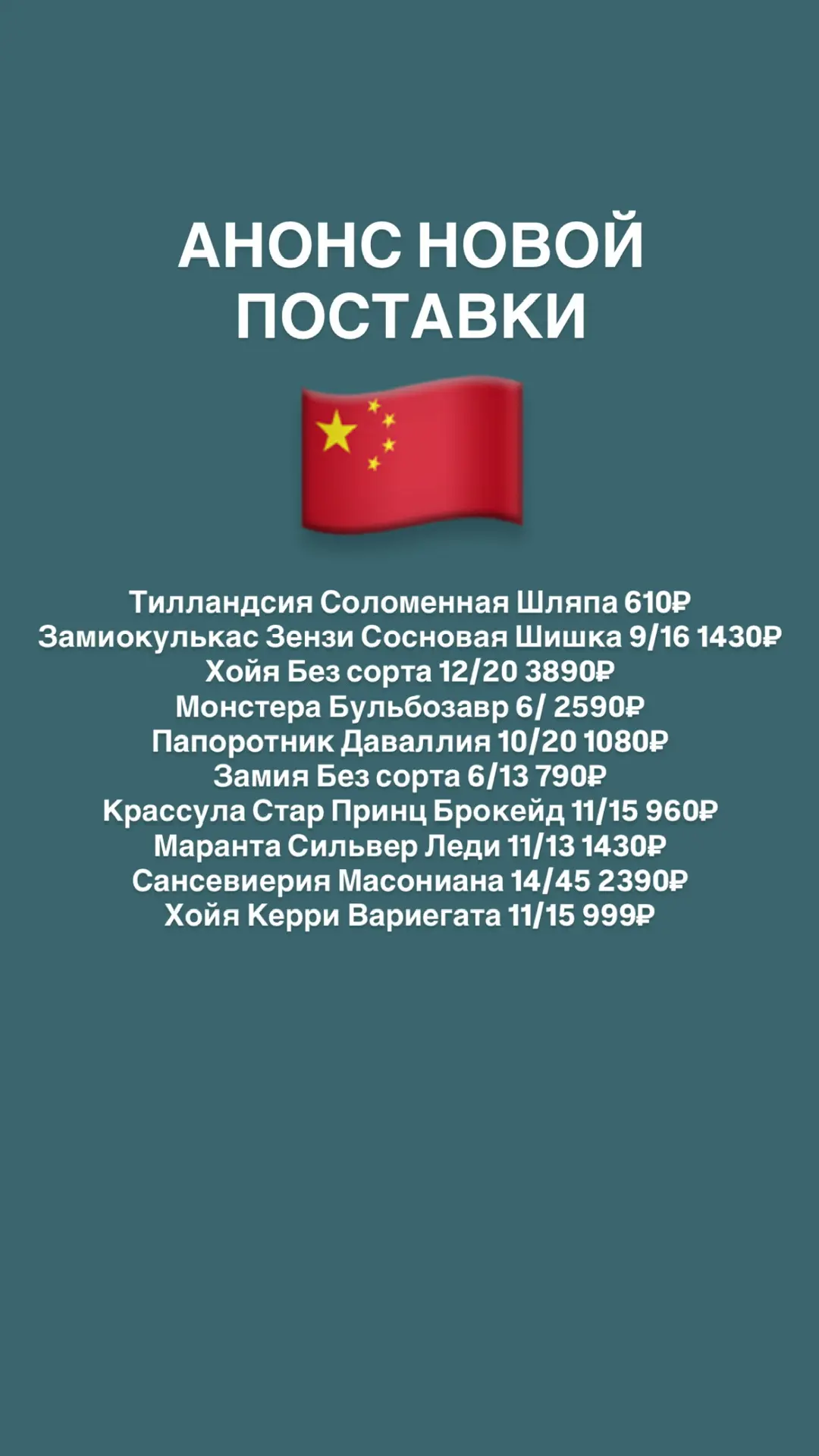 АНОНС НОВОЙ ПОСТАВКИ🪴