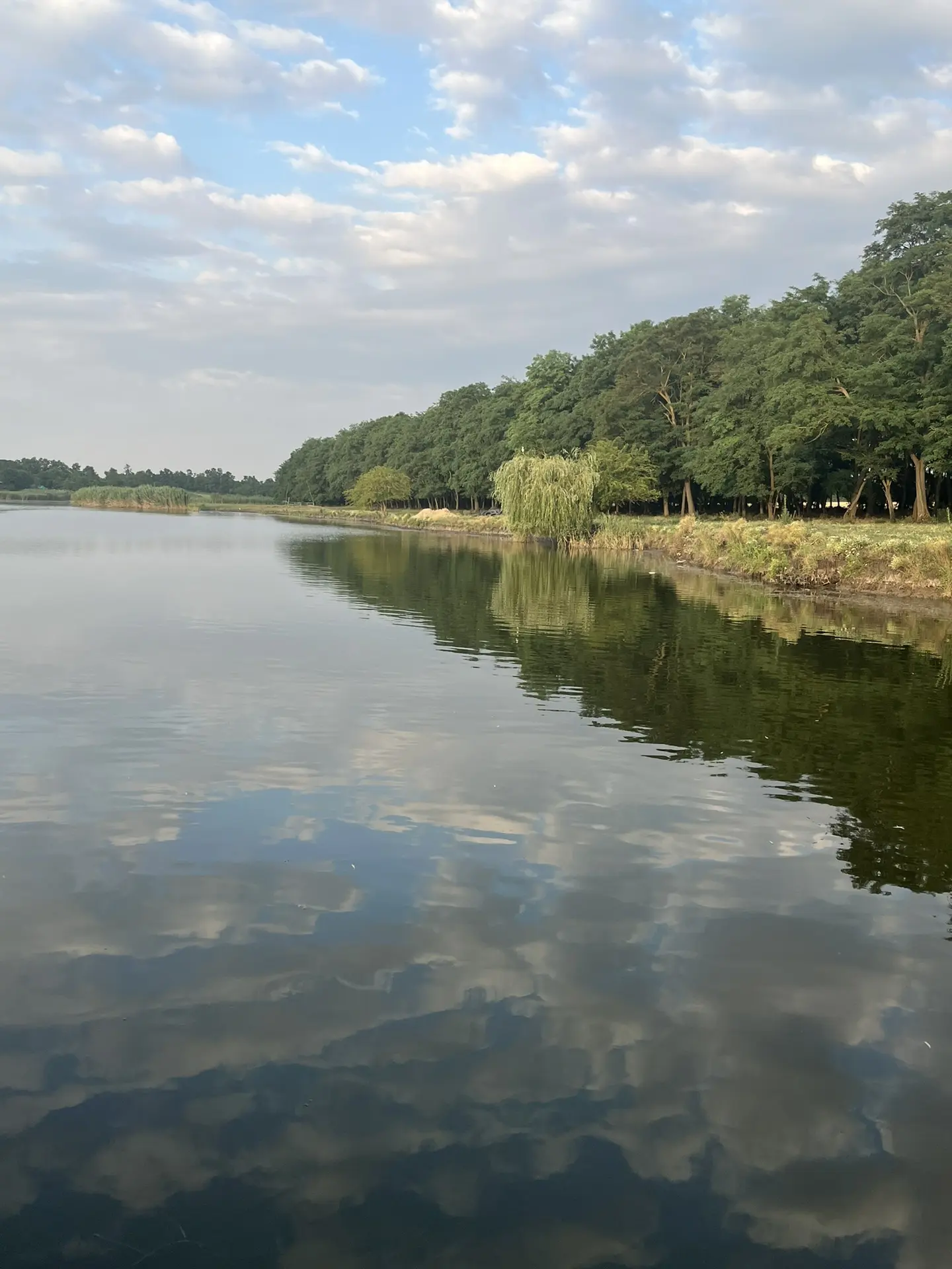 Доброе утро, дорогие жители! ☀️