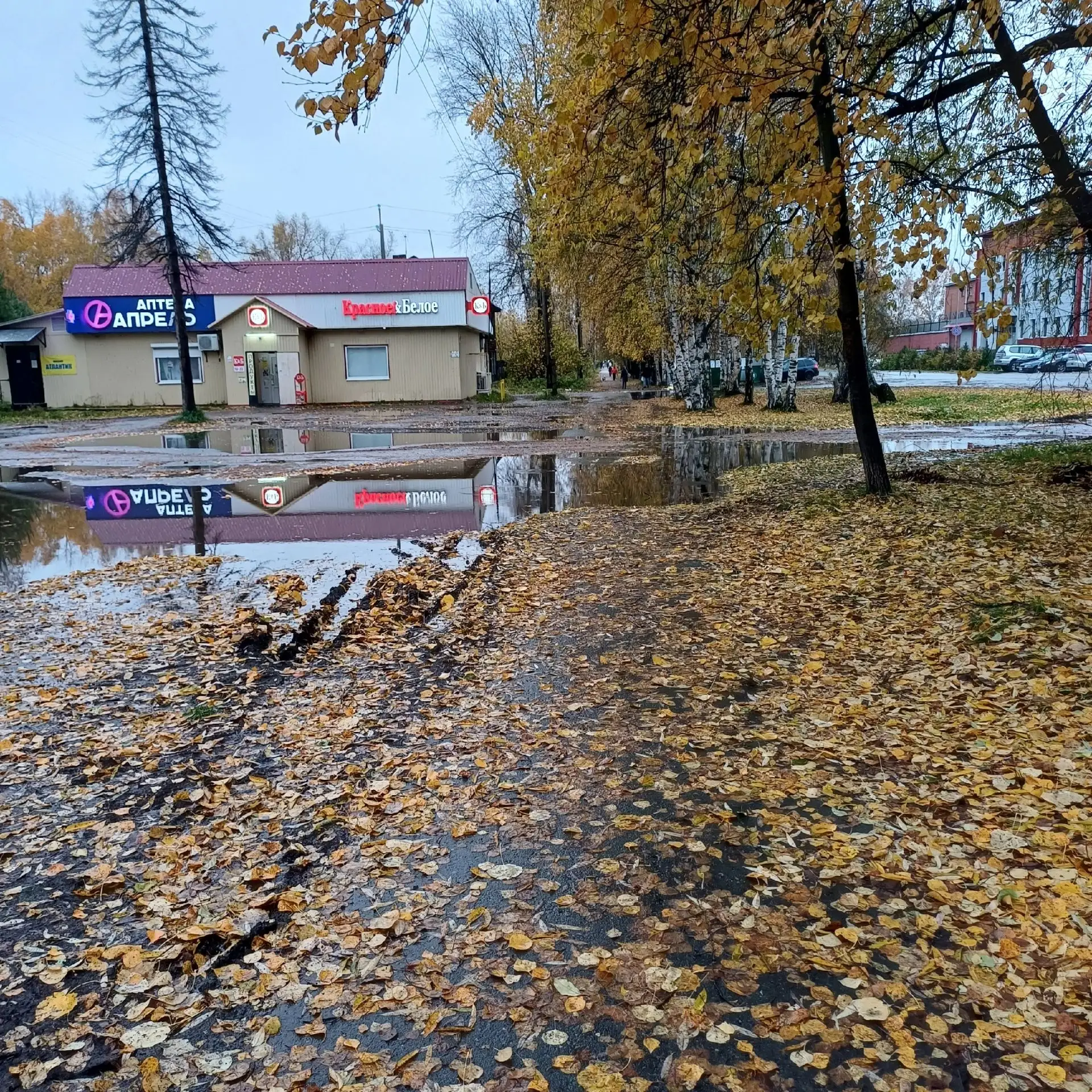 Добрый вечер. Есть такие люди ,которые сели за руль и считают  что весь мир принадлежит...