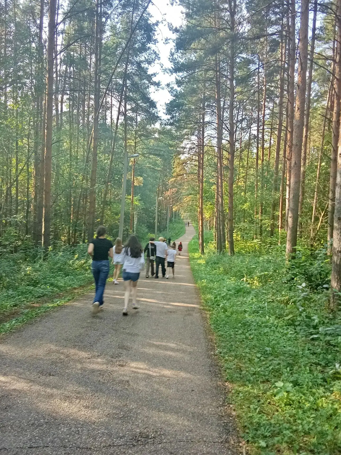Первый отряд отправился на спортивное пространство "Высота".✨✨✨ Дети с удовольствием за...
