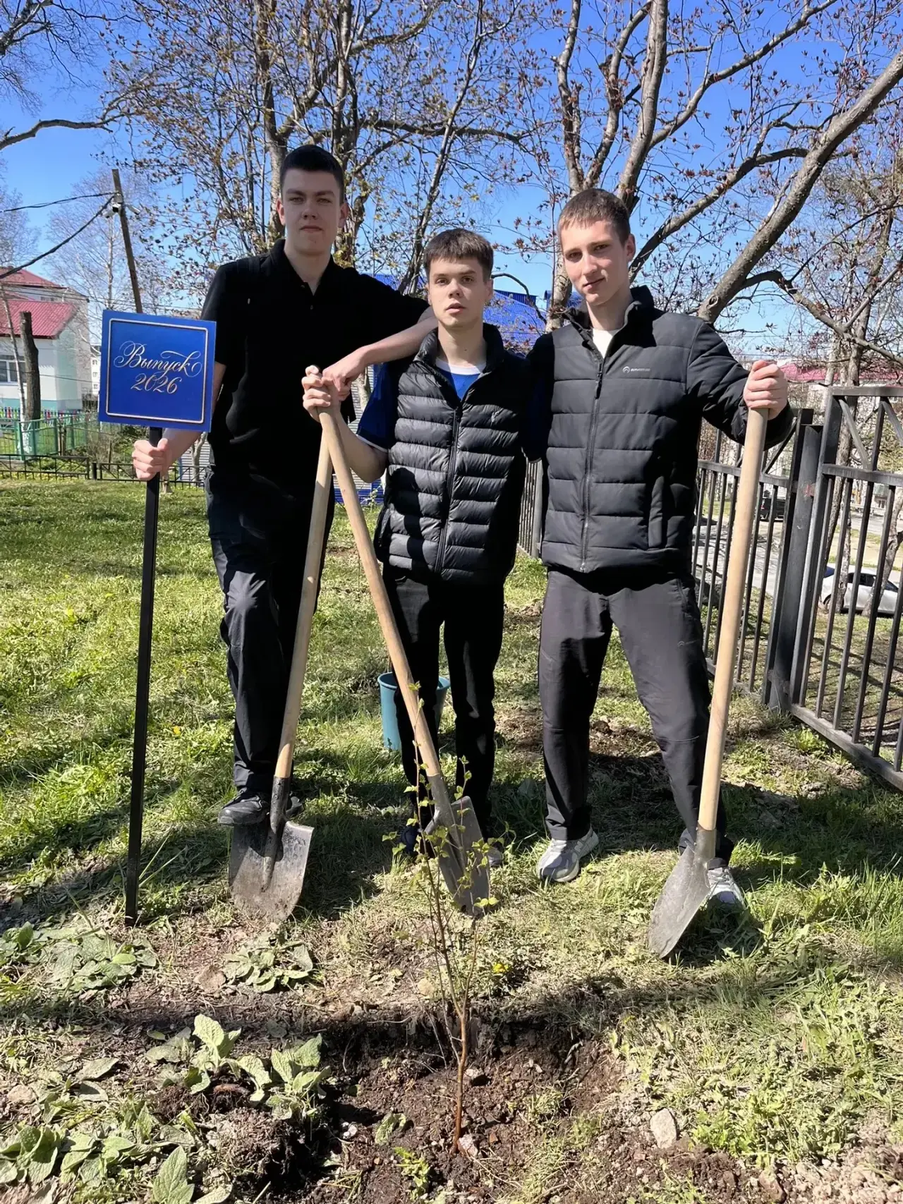 🌳 Выпускники в деле: школа становится ещё зеленее!  По сложившейся традиции ребята высадили деревья 