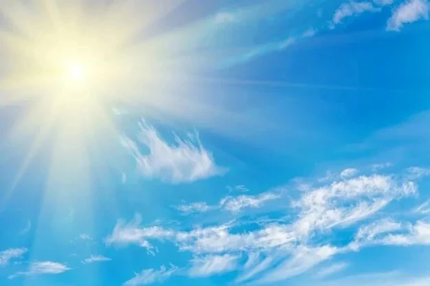 ☀️ Лето не спешит прощаться: в Алтайском крае снова будет жарко!