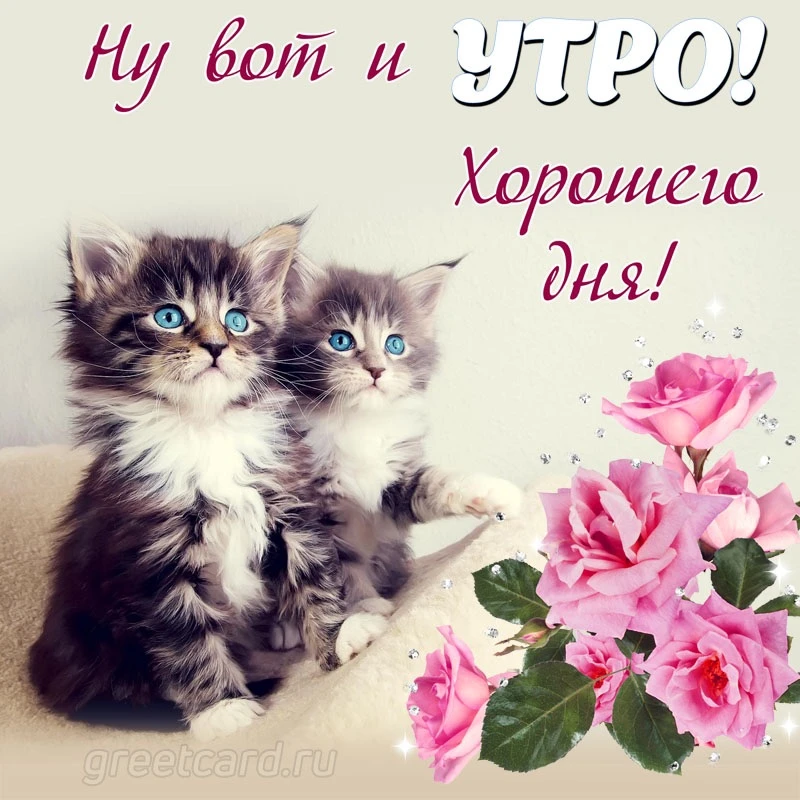 Список качественных каналов в МАХ | Подпишись!❤️
