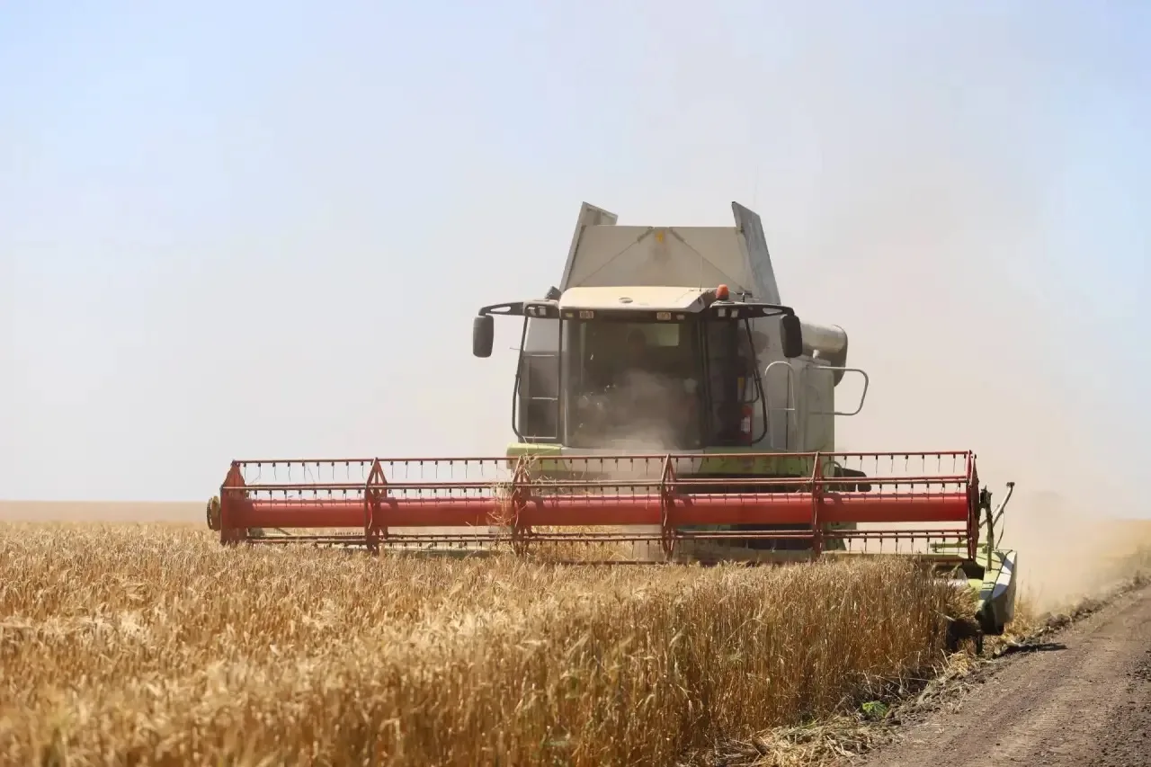 🚜🌾Краснодарский край приступил к уборочной кампании. Больше чем в 23 муниципалитетах ...