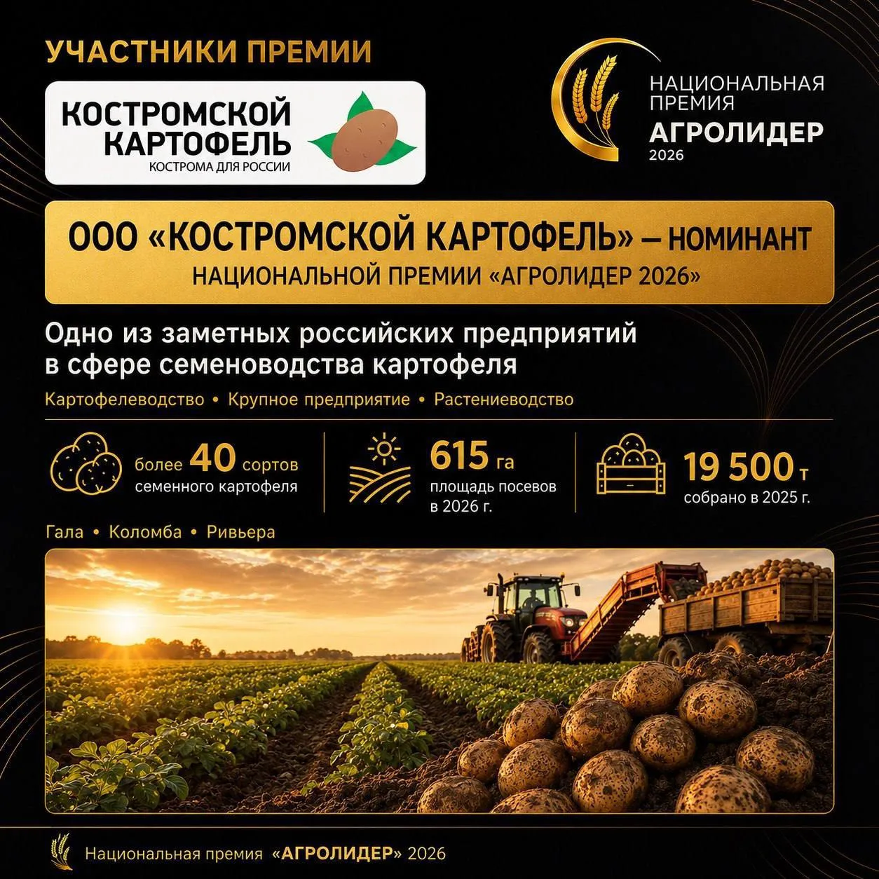 ООО «Костромской Картофель» — номинант Национальной премии «АГРОЛИДЕР 2026»