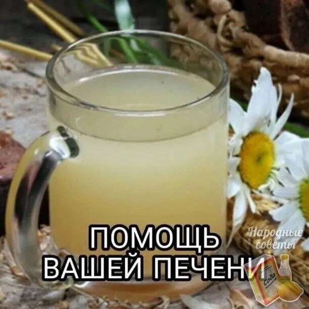 Помощь печени и желчному пузырю