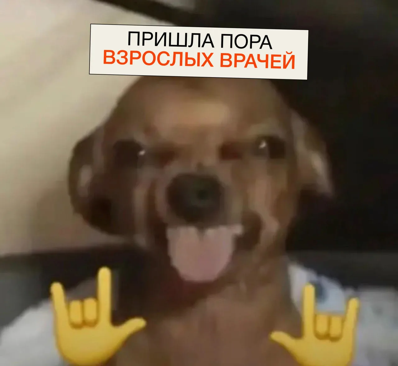 Врачи, которые лечат взрослых, ВЫ ЖИВЫ?