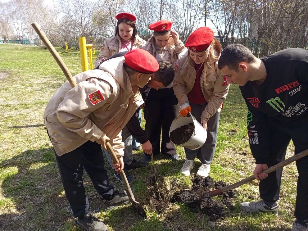 🌿 Сегодня юнармейцы из отряда "Ермак" и волонтеры нашей школы приняли участие в Всерос...