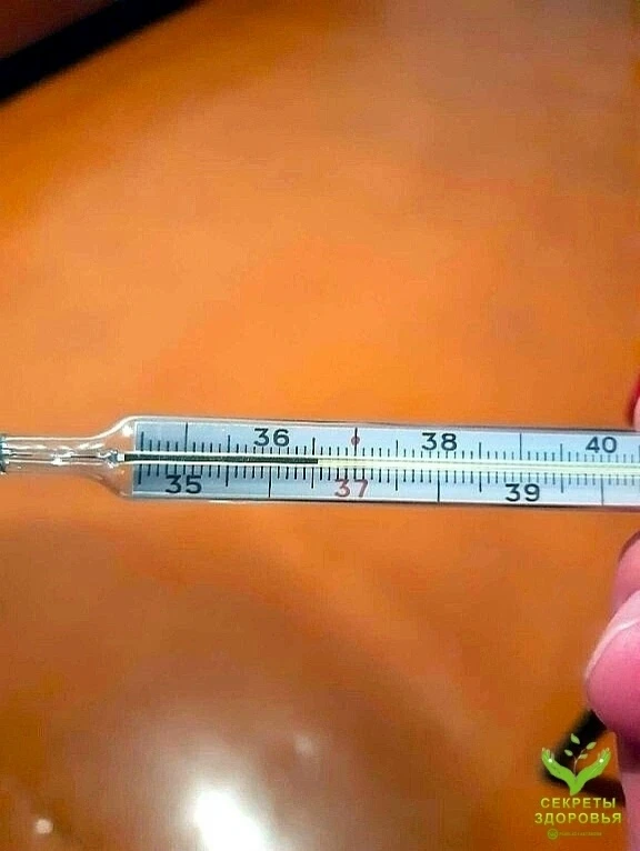 ПОСЛАНИЕ ГЛАВВРАЧА Армавира, Василия Казьмина📌👍  Коллеги! Эта памятка для ВАС: Постарайтесь, по возм