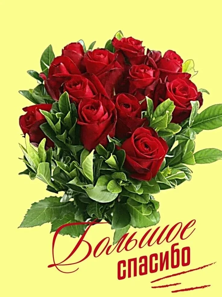Спасибо за праздник 🌹🌹🌹

За то, что уделили нам внимание,
Спасибо очень хочется сказать.
Желаем б