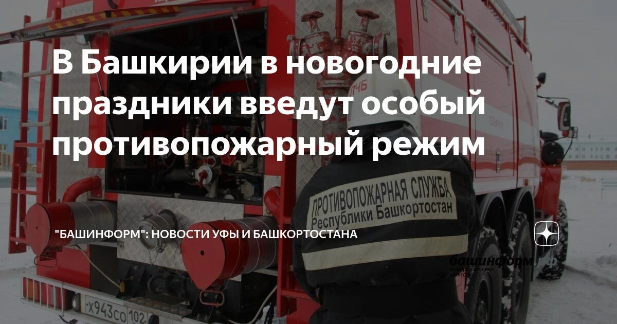 Особый противопожарный режим будет действовать в регионе с 31 декабря 2025 года по 11 я...