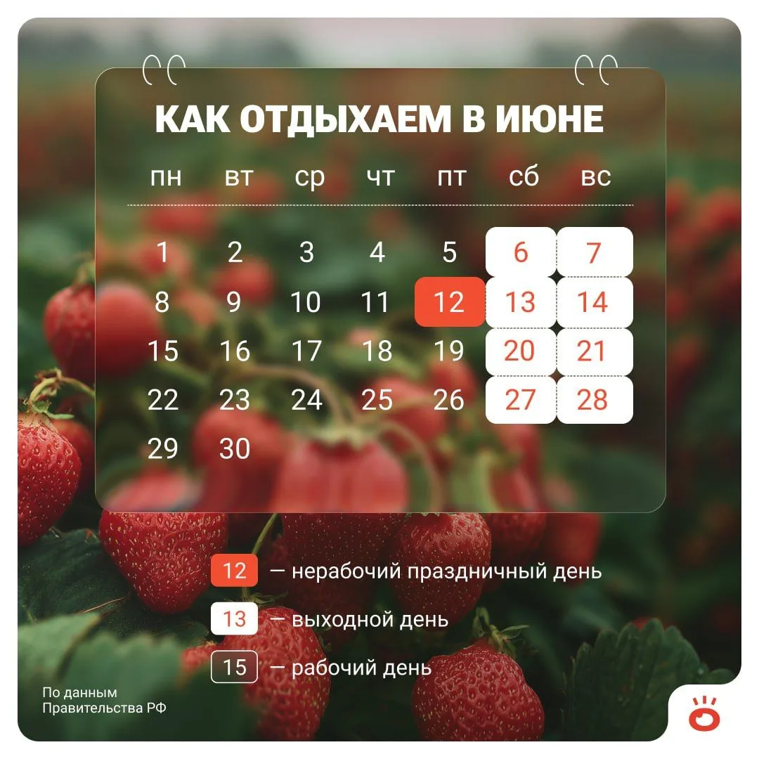 Лето, солнце и... короткая рабочая неделя 😎