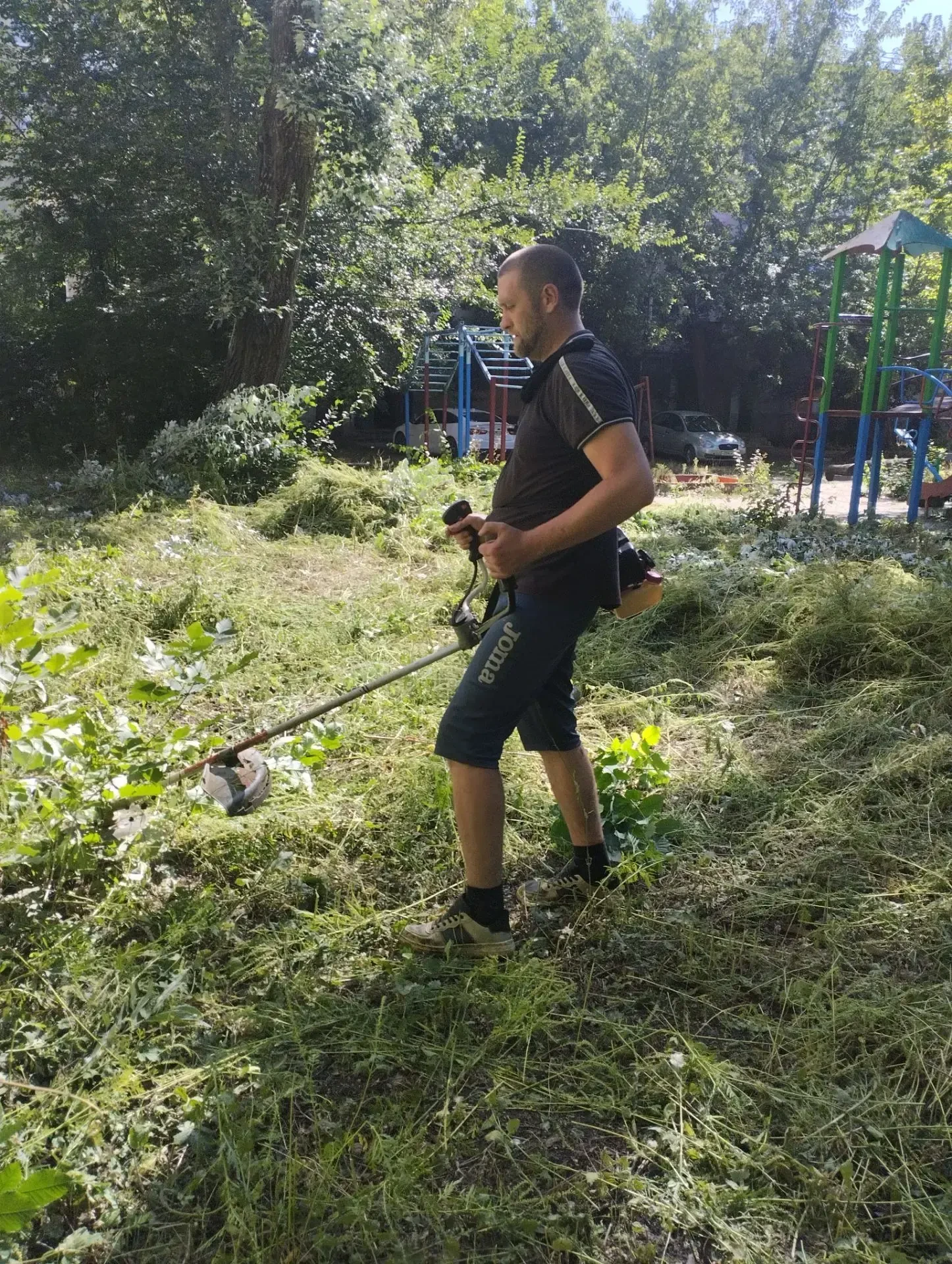 В Центрально-Городском внутригородском районе  продолжается  борьба с  сорными и карант...