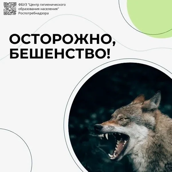 28 сентября — Всемирный день борьбы с бешенством 🐶