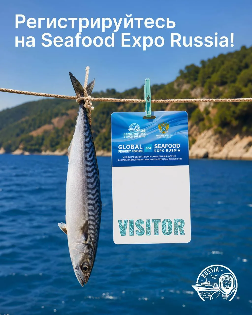 Всё, что нужно для входа на Seafood Expo Russia для специалиста рыбной отрасли, — зарег...